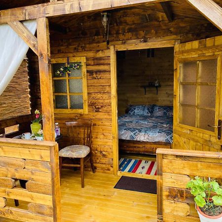Camping In Clisura Dunarii Ешелница Экстерьер фото