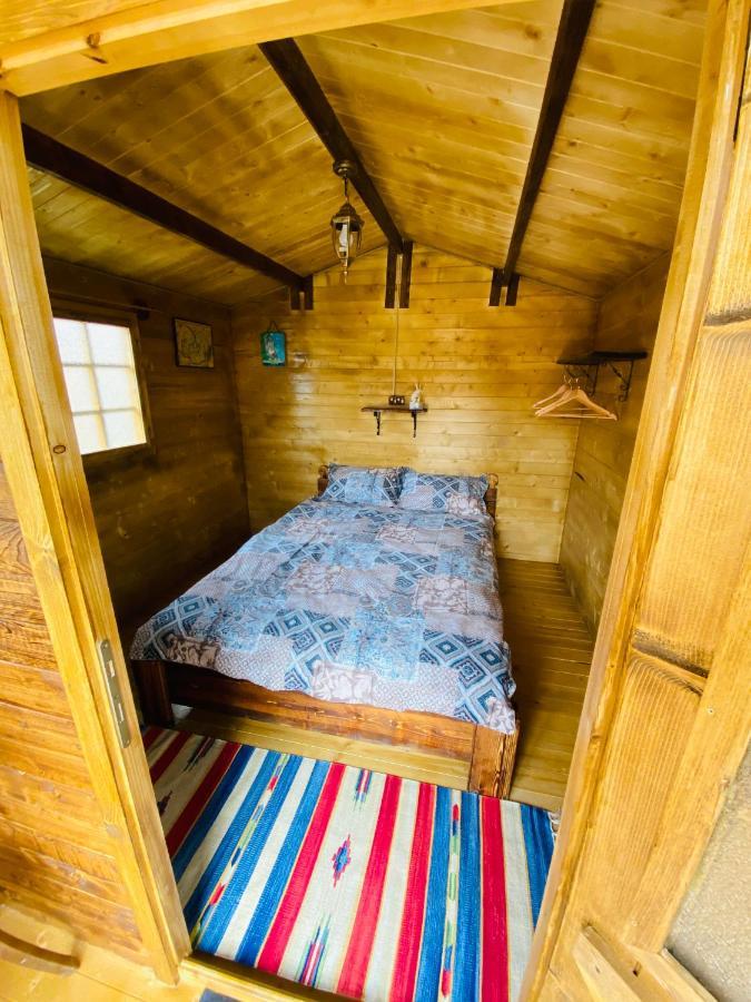 Camping In Clisura Dunarii Ешелница Экстерьер фото
