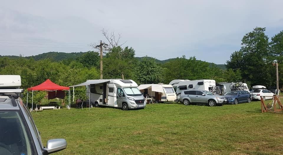 Camping In Clisura Dunarii Ешелница Экстерьер фото