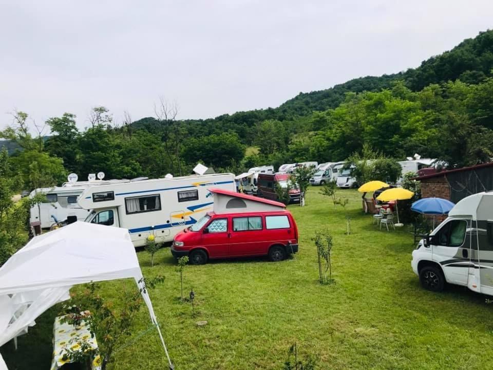 Camping In Clisura Dunarii Ешелница Экстерьер фото