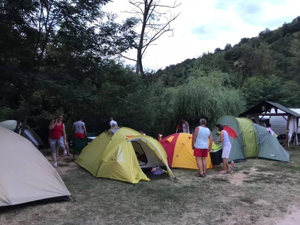 Camping In Clisura Dunarii Ешелница Экстерьер фото