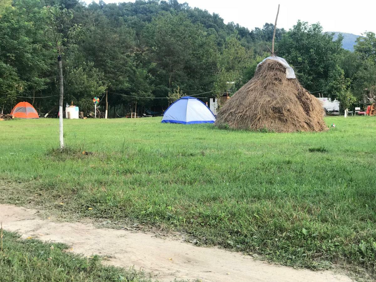 Camping In Clisura Dunarii Ешелница Экстерьер фото
