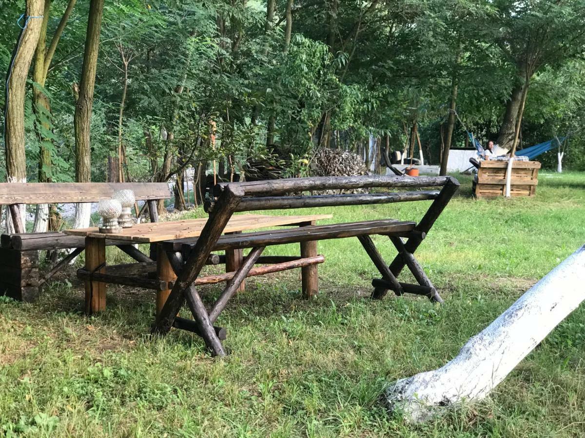 Camping In Clisura Dunarii Ешелница Экстерьер фото