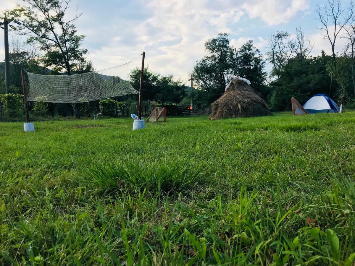 Camping In Clisura Dunarii Ешелница Экстерьер фото