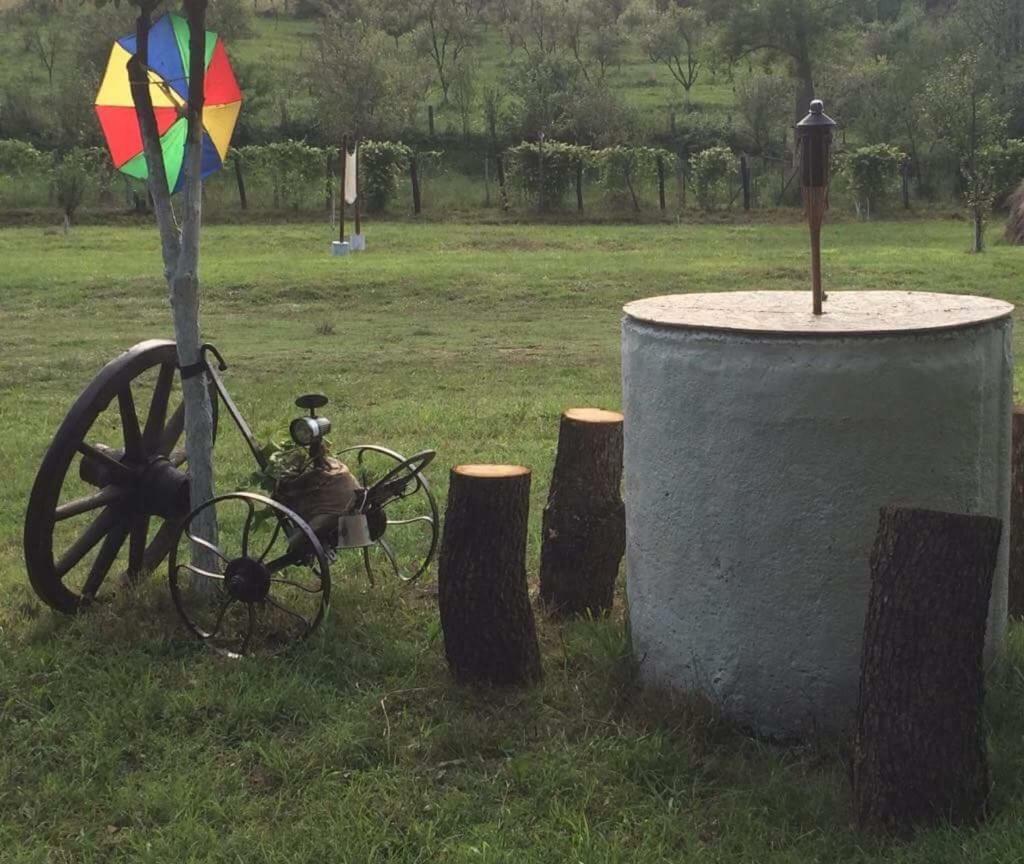 Camping In Clisura Dunarii Ешелница Экстерьер фото