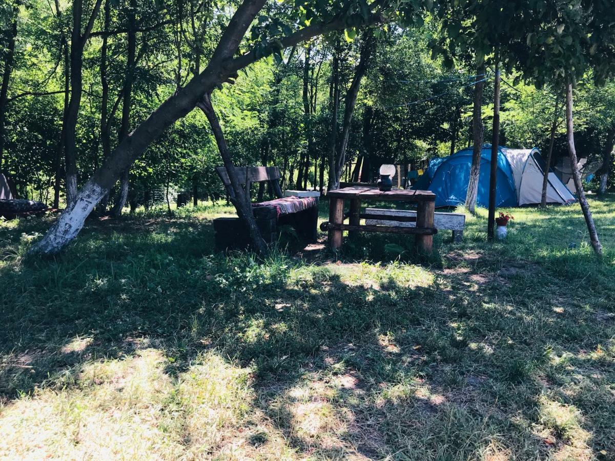 Camping In Clisura Dunarii Ешелница Экстерьер фото