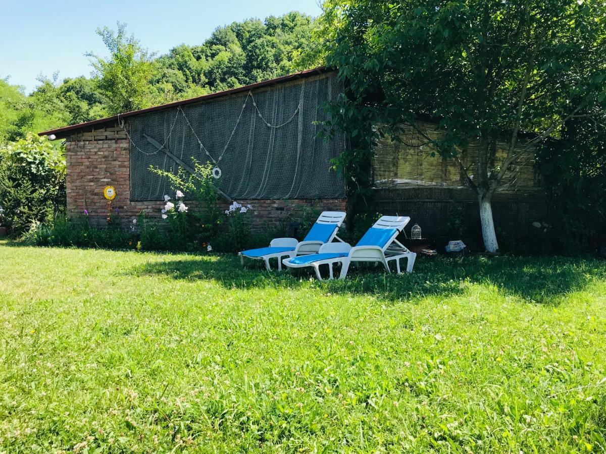 Camping In Clisura Dunarii Ешелница Экстерьер фото