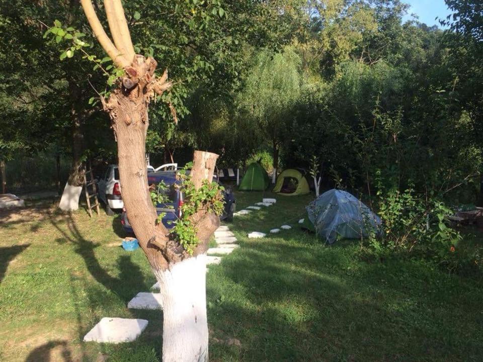 Camping In Clisura Dunarii Ешелница Экстерьер фото