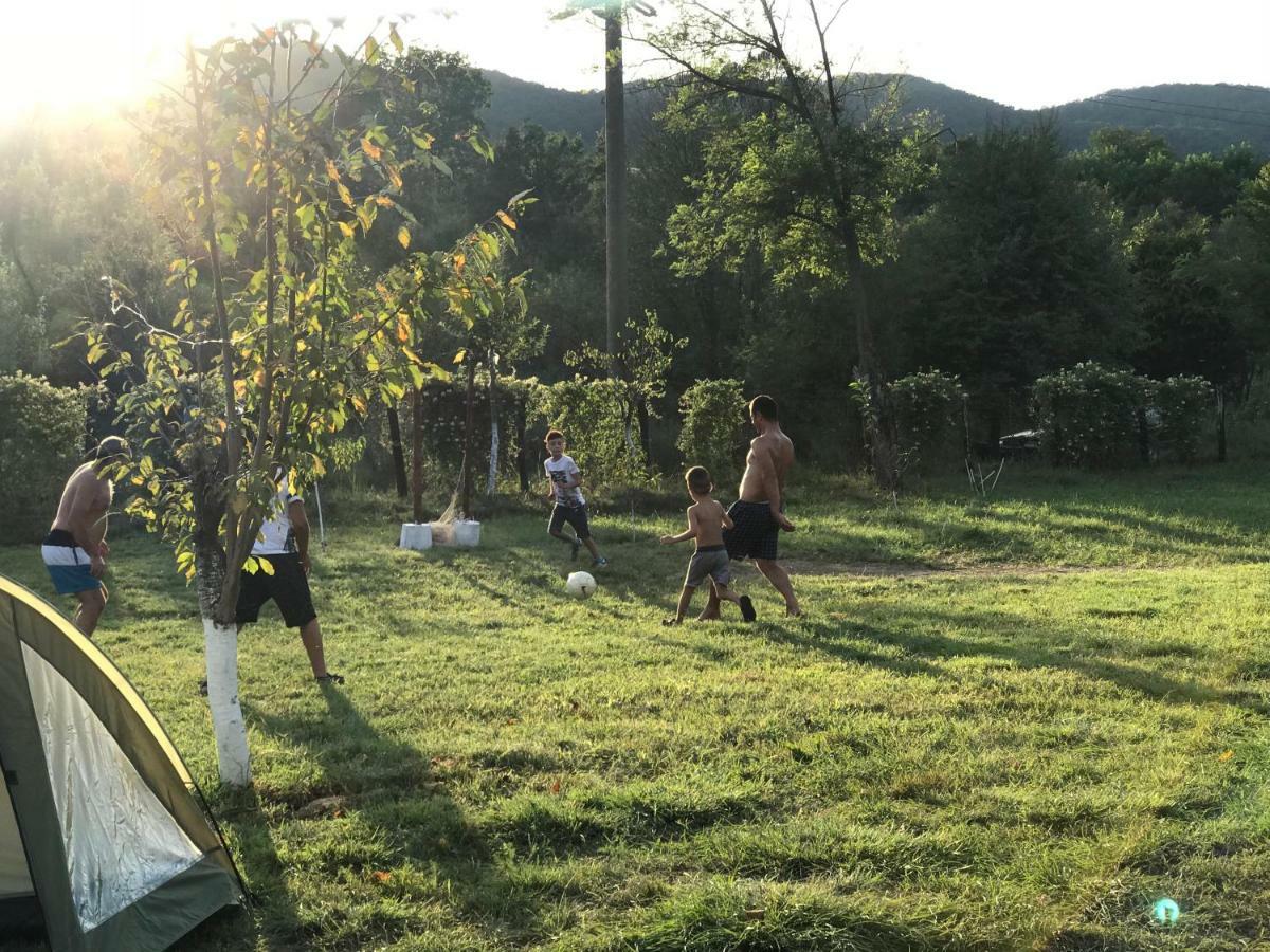 Camping In Clisura Dunarii Ешелница Экстерьер фото