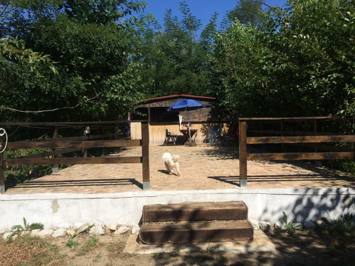Camping In Clisura Dunarii Ешелница Экстерьер фото