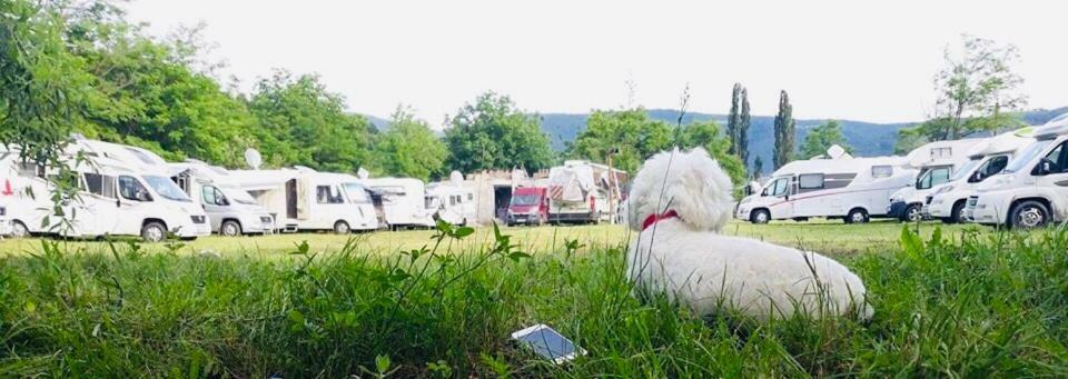 Camping In Clisura Dunarii Ешелница Экстерьер фото